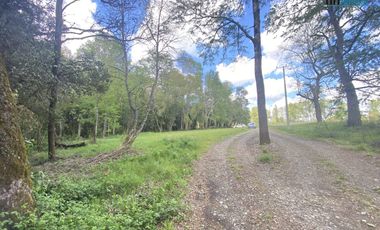 Parcela 5.000 M2 Terreno Plano, Sector Huichahue a 8 km de Cunco