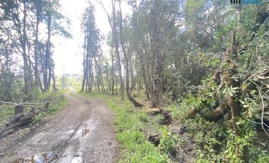 Parcela 5.000 M2 Terreno Plano, Sector Huichahue a 8 km de Cunco