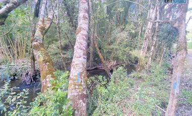 Parcela 5.000 M2 Terreno Plano, Sector Huichahue a 8 km de Cunco
