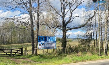 Parcelas en Venta (8) Ubicadas en La Faja 24.000 Camino Padre las Casas a Cunco