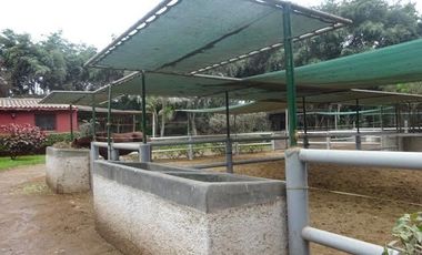 Venta Casa de campo en Pachacamac