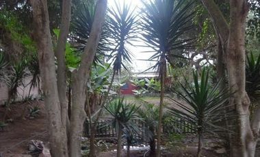 Venta Casa de campo en Pachacamac