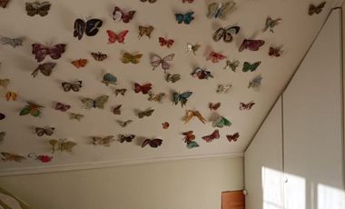 Casa en Villarrica año corrido