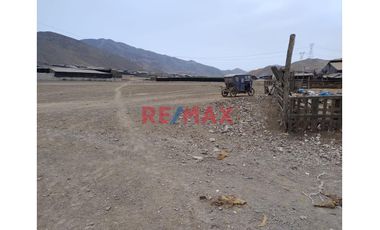 Venta De Terreno De 4434 M2 Cerca A La Chutana - Chilca