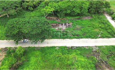 LOTE EN VENTA SECTOR ROBLES DEL NORTE MONTERIA CORDOBA