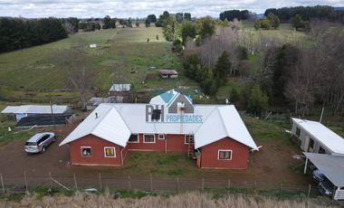 Campo Productivo 65.500 M2. Casa 190 M2, Camino Huichahue