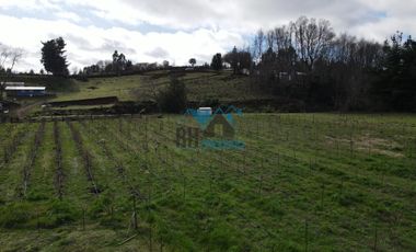 Campo Productivo 65.500 M2. Casa 190 M2, Camino Huichahue