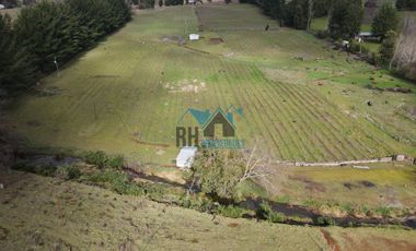 Campo Productivo 65.500 M2. Casa 190 M2, Camino Huichahue