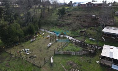 Campo Productivo 65.500 M2. Casa 190 M2, Camino Huichahue