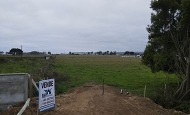 Terreno 15.000 m2 en Venta a La Entrada de Puerto Saavedra
