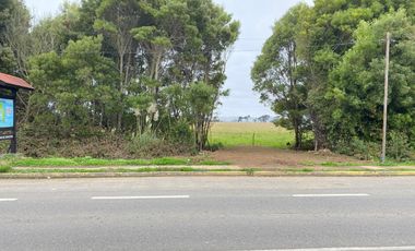 Terreno 15.000 m2 en Venta a La Entrada de Puerto Saavedra