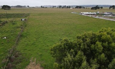 Terreno 15.000 m2 en Venta a La Entrada de Puerto Saavedra