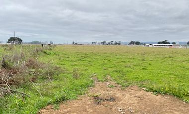 Terreno 15.000 m2 en Venta a La Entrada de Puerto Saavedra