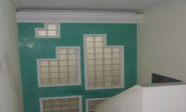 VERACRUZ, PULPO 167 B, VERACRUZ