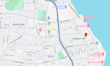 VERACRUZ, PULPO 167 B, VERACRUZ