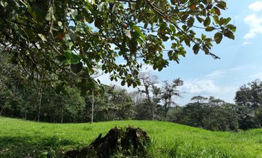 Venta de Hectareas al asfalto con Agua, Luz y Seguridad, cerca de Quito Ecuador