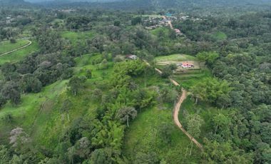 Venta de Hectareas al asfalto con Agua, Luz y Seguridad, cerca de Quito Ecuador