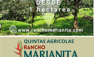 Venta de Hectareas al asfalto con Agua, Luz y Seguridad, cerca de Quito Ecuador