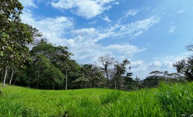 Venta de Hectareas al asfalto con Agua, Luz y Seguridad, cerca de Quito Ecuador
