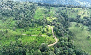 Venta de Hectareas al asfalto con Agua, Luz y Seguridad, cerca de Quito Ecuador