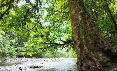 En venta: Quintas Agrícolas Rancho Marianita