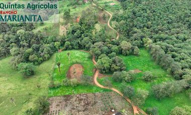 En venta: Quintas Agrícolas Rancho Marianita