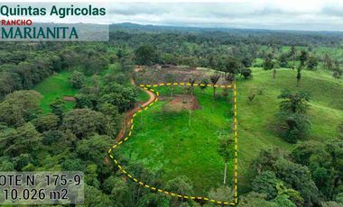 En venta: Quintas Agrícolas Rancho Marianita