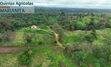 En venta: Quintas Agrícolas Rancho Marianita