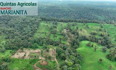 En venta: Quintas Agrícolas Rancho Marianita