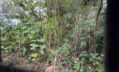 House and Lot For Sale at Sta. Rosa, Laguna