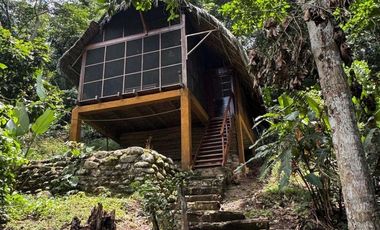 ¿Tienes una visión para Tarapoto? Este Eco Lodge de 15 hectáreas te da el punto de partida.