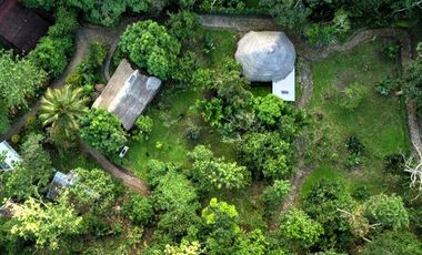 ¿Tienes una visión para Tarapoto? Este Eco Lodge de 15 hectáreas te da el punto de partida.