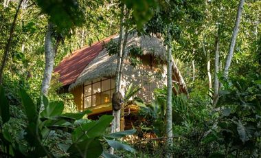¿Tienes una visión para Tarapoto? Este Eco Lodge de 15 hectáreas te da el punto de partida.