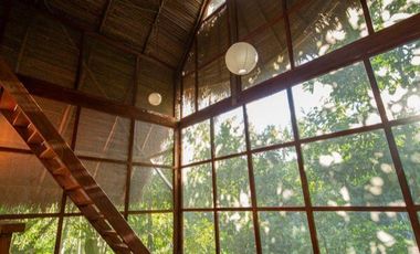 ¿Tienes una visión para Tarapoto? Este Eco Lodge de 15 hectáreas te da el punto de partida.