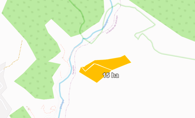 ¿Tienes una visión para Tarapoto? Este Eco Lodge de 15 hectáreas te da el punto de partida.