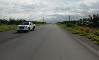 SE VENDE HERMOSA FINCA AGRICOLA GANADERA  28 HAS. QUININDE – ESMERALDAS - ECUADOR