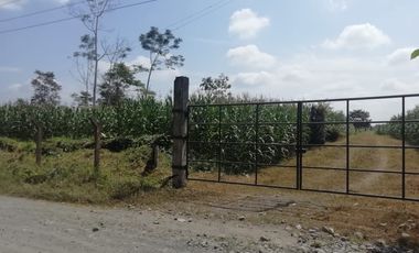SE VENDE HERMOSA FINCA AGRICOLA GANADERA  28 HAS. QUININDE – ESMERALDAS - ECUADOR