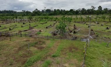 SE VENDE HERMOSA FINCA AGRICOLA GANADERA  28 HAS. QUININDE – ESMERALDAS - ECUADOR