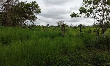 SE VENDE HERMOSA FINCA AGRICOLA GANADERA  28 HAS. QUININDE – ESMERALDAS - ECUADOR