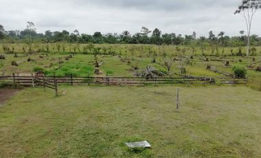 SE VENDE HERMOSA FINCA AGRICOLA GANADERA  28 HAS. QUININDE – ESMERALDAS - ECUADOR