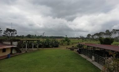 SE VENDE HERMOSA FINCA AGRICOLA GANADERA  28 HAS. QUININDE – ESMERALDAS - ECUADOR