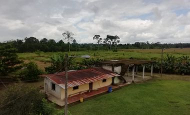 SE VENDE HERMOSA FINCA AGRICOLA GANADERA  28 HAS. QUININDE – ESMERALDAS - ECUADOR