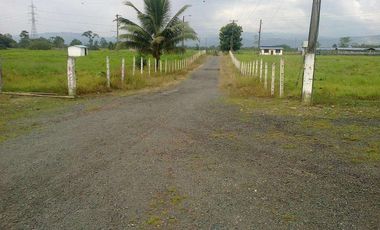 SE VENDE HERMOSA HACIENDA GANADERA 290 HAS. EN PRODUCCIÓN, CON ESTACION DE SERVICIO (GASOLINERA) LUZ DE AMERICA – SANTO DOMINGO DE LOS TSACHILAS - ECU