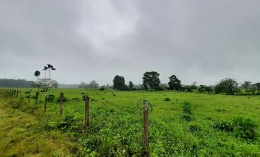 SE VENDE HERMOSA HACIENDA GANADERA 290 HAS. EN PRODUCCIÓN, CON ESTACION DE SERVICIO (GASOLINERA) LUZ DE AMERICA – SANTO DOMINGO DE LOS TSACHILAS - ECU