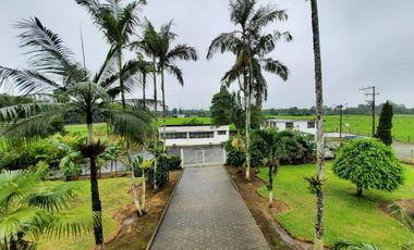 SE VENDE HERMOSA HACIENDA GANADERA 290 HAS. EN PRODUCCIÓN, CON ESTACION DE SERVICIO (GASOLINERA) LUZ DE AMERICA – SANTO DOMINGO DE LOS TSACHILAS - ECU