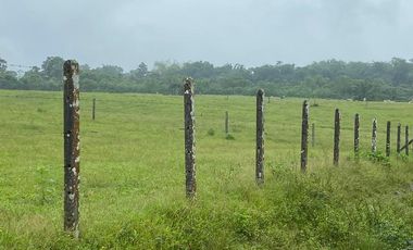 SE VENDE HERMOSA HACIENDA GANADERA 290 HAS. EN PRODUCCIÓN, CON ESTACION DE SERVICIO (GASOLINERA) LUZ DE AMERICA – SANTO DOMINGO DE LOS TSACHILAS - ECU