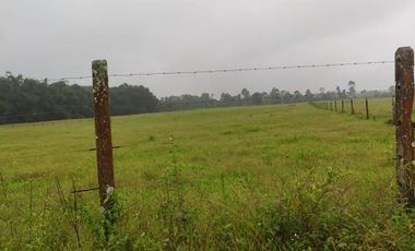 SE VENDE HERMOSA HACIENDA GANADERA 290 HAS. EN PRODUCCIÓN, CON ESTACION DE SERVICIO (GASOLINERA) LUZ DE AMERICA – SANTO DOMINGO DE LOS TSACHILAS - ECU