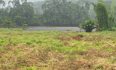 SE VENDE HERMOSA HACIENDA GANADERA 290 HAS. EN PRODUCCIÓN, CON ESTACION DE SERVICIO (GASOLINERA) LUZ DE AMERICA – SANTO DOMINGO DE LOS TSACHILAS - ECU