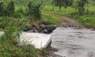 SE VENDE HERMOSA HACIENDA GANADERA 290 HAS. EN PRODUCCIÓN, CON ESTACION DE SERVICIO (GASOLINERA) LUZ DE AMERICA – SANTO DOMINGO DE LOS TSACHILAS - ECU