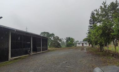 SE VENDE HERMOSA HACIENDA GANADERA 290 HAS. EN PRODUCCIÓN, CON ESTACION DE SERVICIO (GASOLINERA) LUZ DE AMERICA – SANTO DOMINGO DE LOS TSACHILAS - ECU